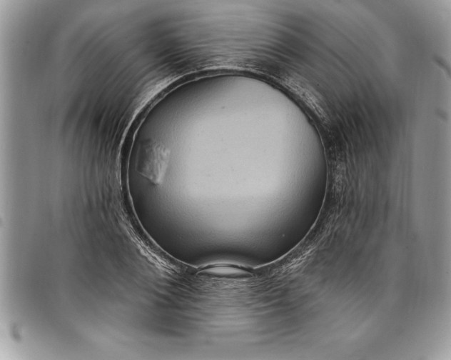 X0000097890884200803281243