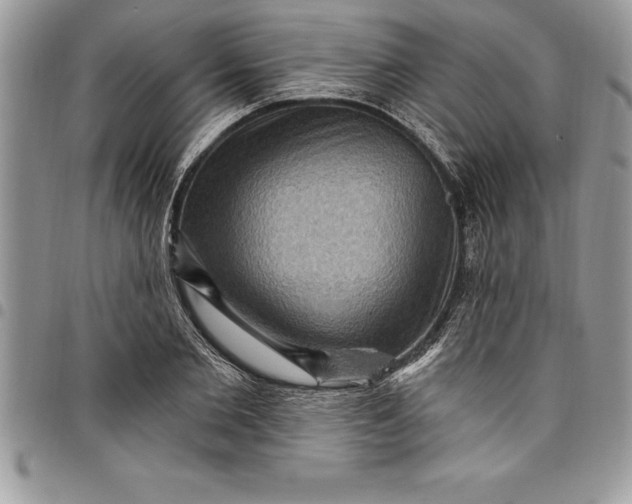 X0000097890885200803281243