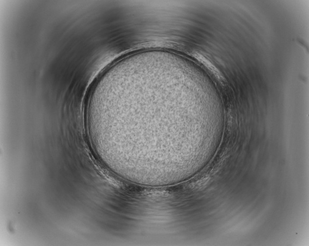 X0000097890886200803281243