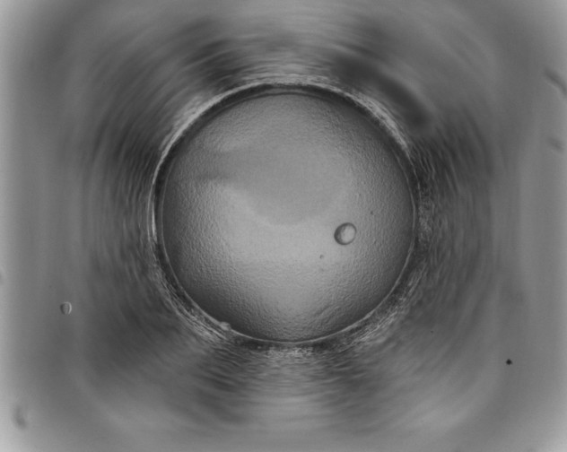 X0000097890887200803281243