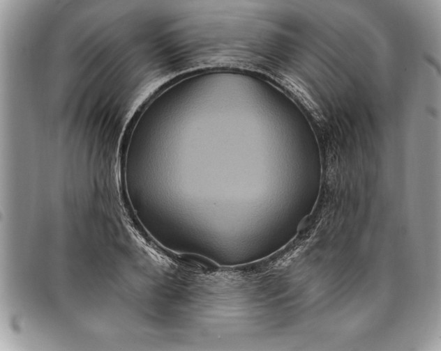 X0000097890888200803281243