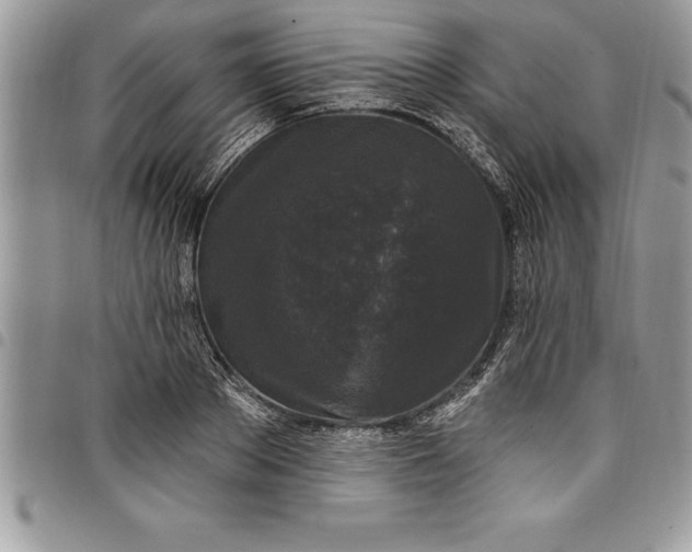 X0000097890889200803281243