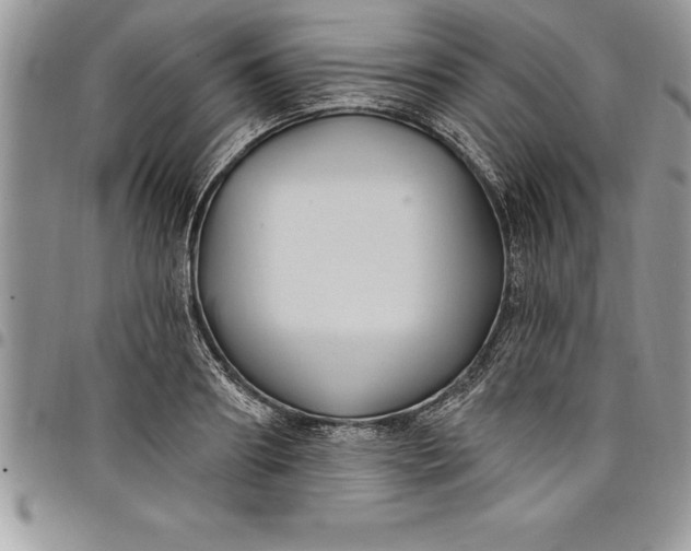 X0000097890890200803281243