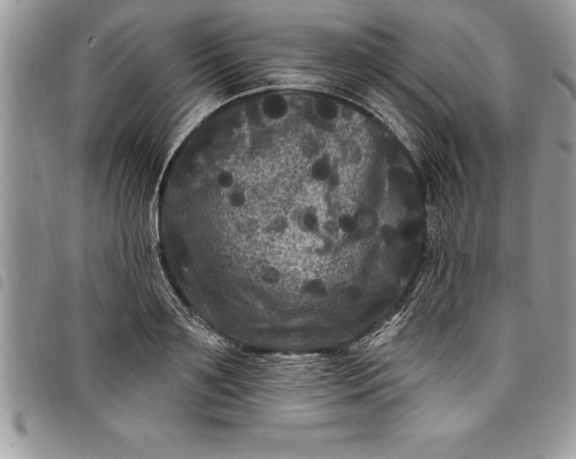 X0000097890891200803281243