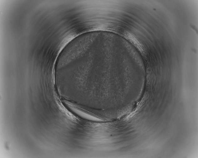 X0000097890892200803281243