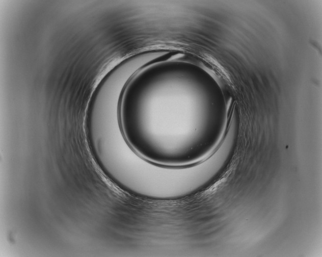 X0000097890893200803281243