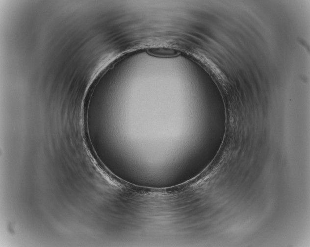 X0000097890894200803281243