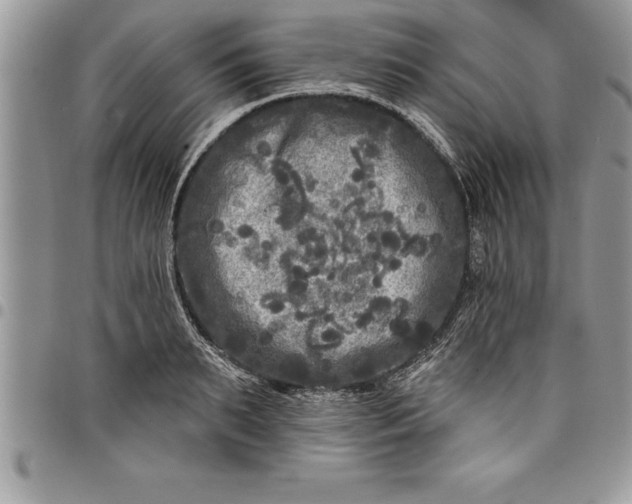 X0000097890895200803281243