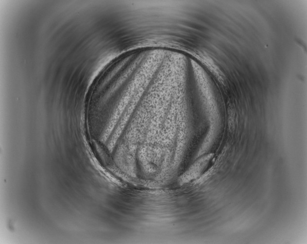 X0000097890896200803281243