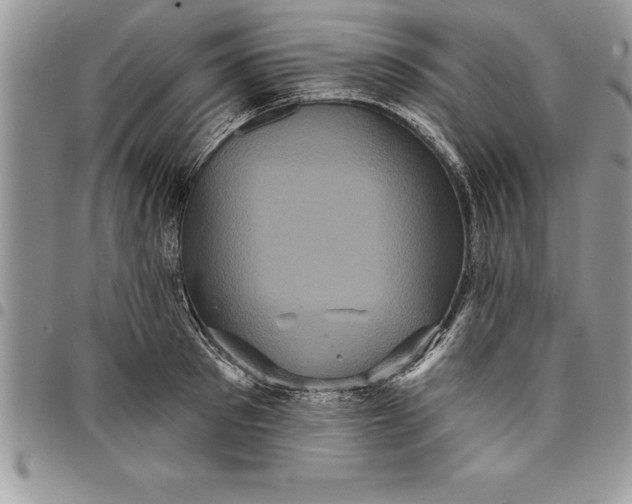 X0000097890897200803281243