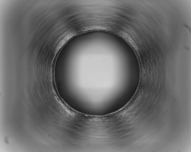 X0000097890898200803281243