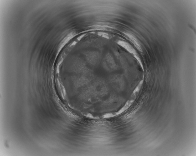 X0000097890899200803281243