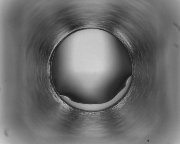 X0000097890900200803281243