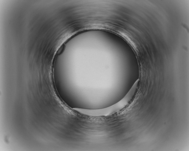 X0000097890901200803281243