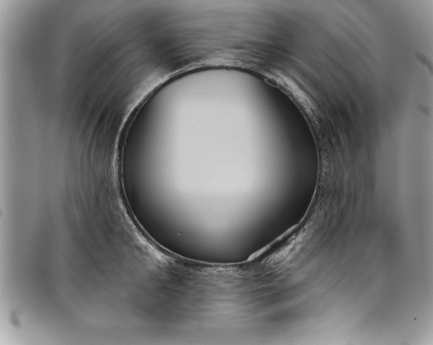 X0000097890902200803281243