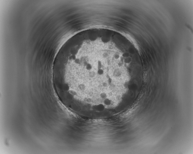 X0000097890903200803281243