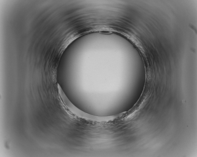 X0000097890905200803281243