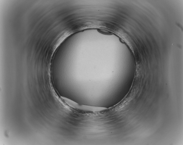 X0000097890906200803281243