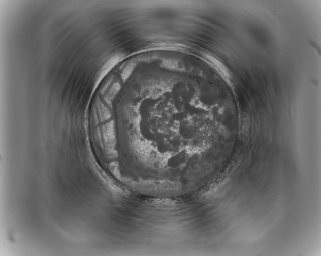 X0000097890907200803281243