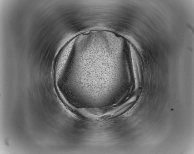 X0000097890910200803281243