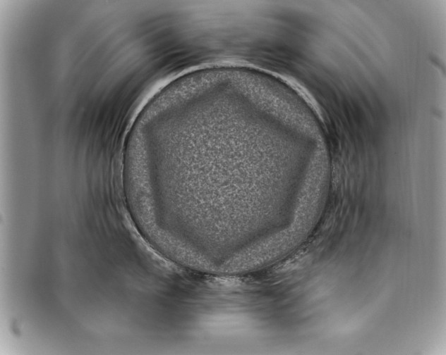 X0000097890911200803281243