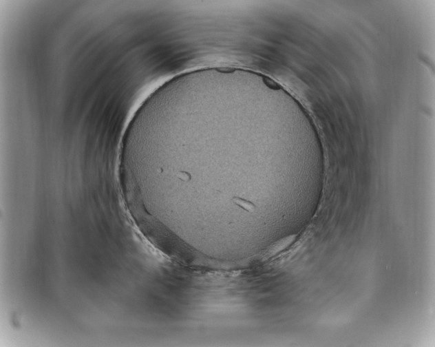 X0000097890912200803281243