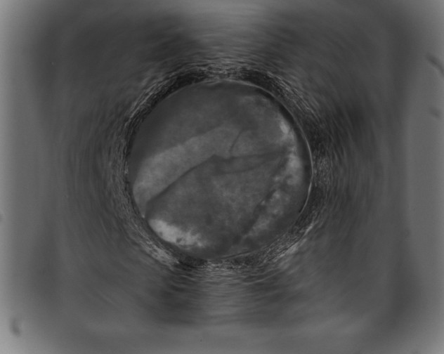 X0000097890913200803281242