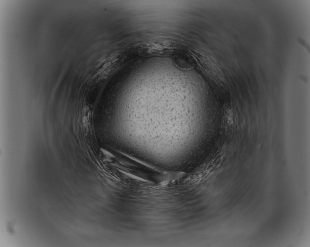 X0000097890914200803281242