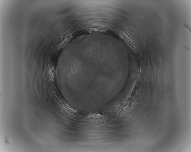 X0000097890915200803281242