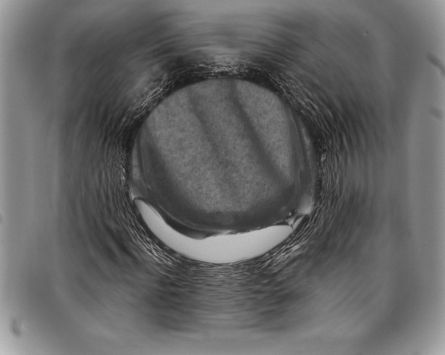 X0000097890916200803281242