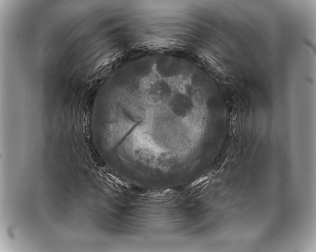 X0000097890917200803281242