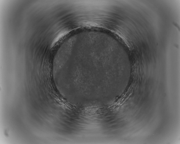 X0000097890919200803281242