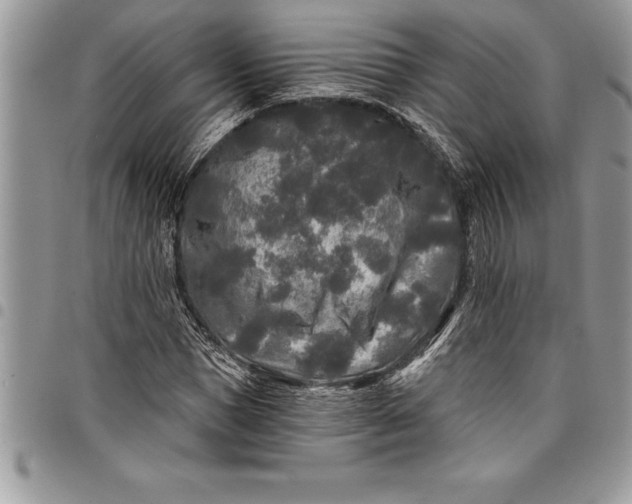 X0000097890921200803281242