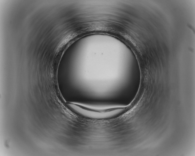 X0000097890922200803281242