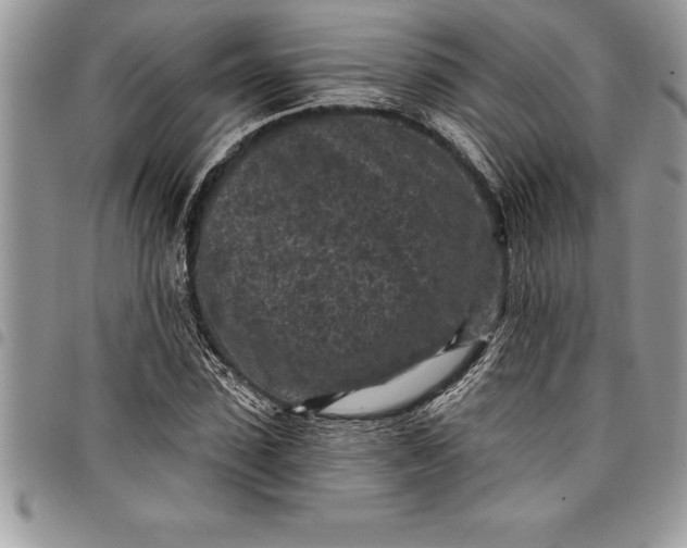 X0000097890923200803281242