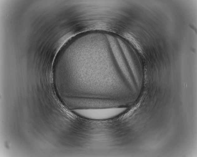 X0000097890924200803281242