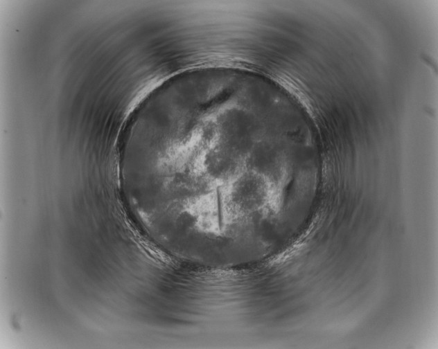 X0000097890925200803281242