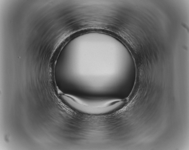 X0000097890926200803281242