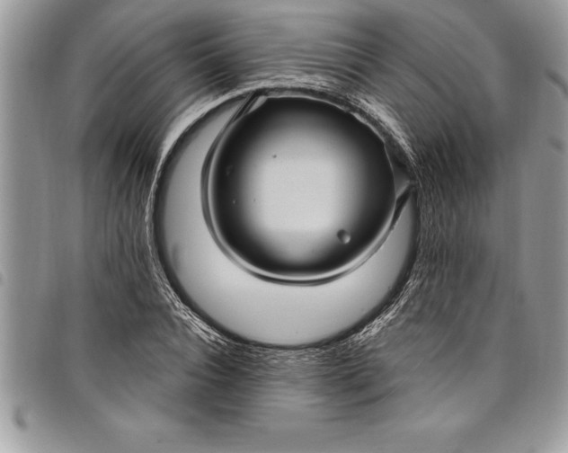 X0000097890928200803281243