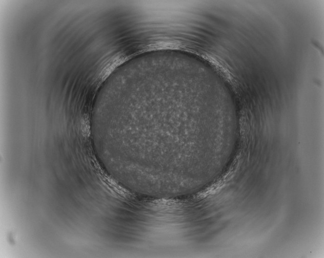 X0000097890929200803281243