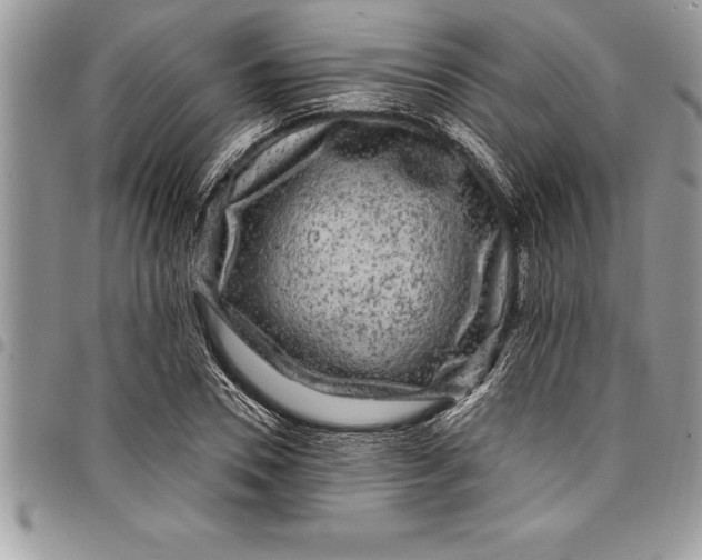 X0000097890930200803281243