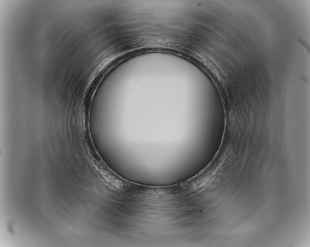 X0000097890931200803281243