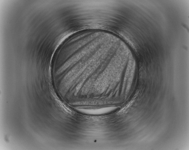 X0000097890932200803281243