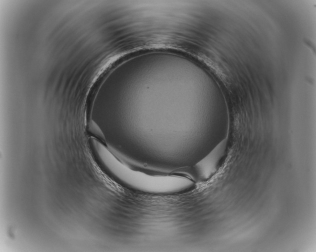 X0000097890934200803281243