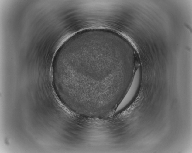 X0000097890935200803281243