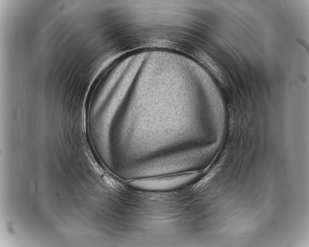 X0000097890940200803281243