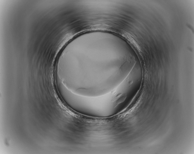 X0000097890941200803281243