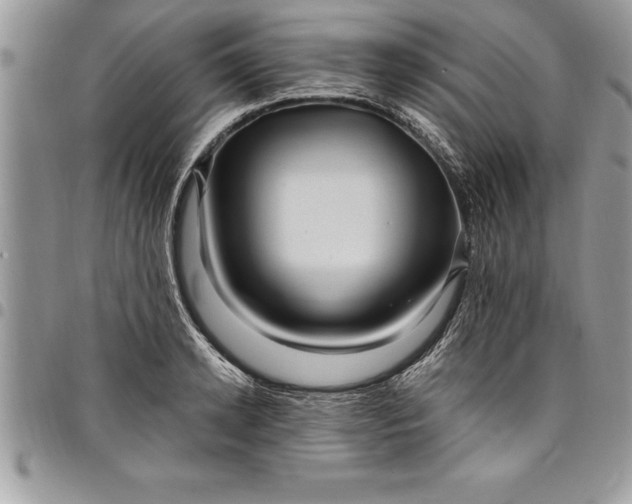 X0000097890942200803281243