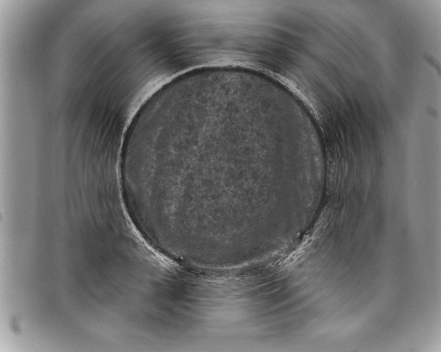 X0000097890943200803281243