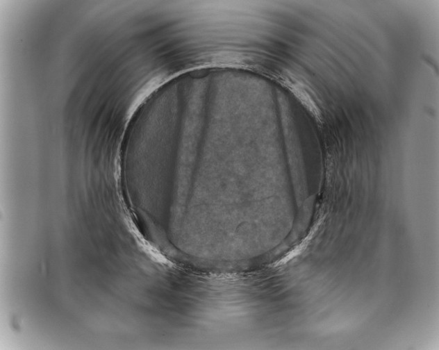 X0000097890944200803281243